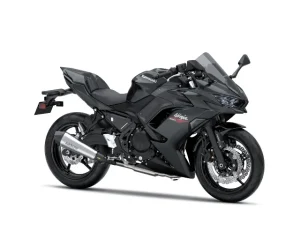 Kawasaki Ninja 650 crna 26 (1)