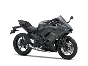 Kawasaki Ninja 650 siva 26 (3)