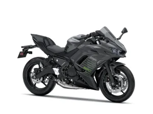 Kawasaki Ninja 650 siva 26 (4)