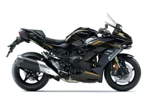 Kawasaki Ninja H2SX crna 26 (15)
