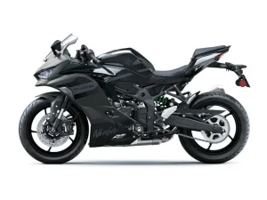 Kawasaki Ninja ZX-4RR siva-26 (2)
