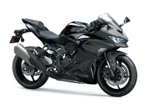 Kawasaki Ninja ZX-4RR siva-26 (3)