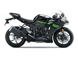Kawasaki Ninja ZX-6R siva-26 (1)
