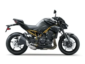Kawasaki Z900 Siva boja 2026 (2)