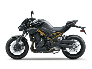 Kawasaki Z900 Siva boja 2026 (6)